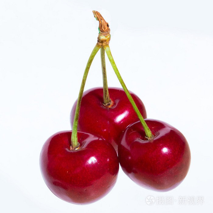 孤立在白色背景上的三个有机甜樱桃