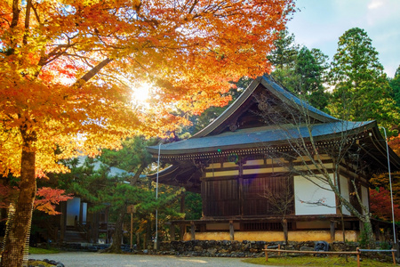 金秋时节的京都，日本