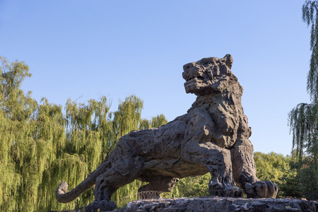 北京动物园老虎雕塑在北京动物园,北京,中国照片