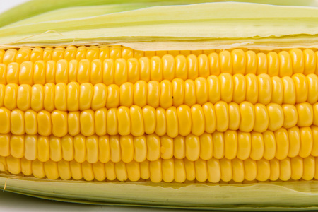 玉米在白色背景上孤立
