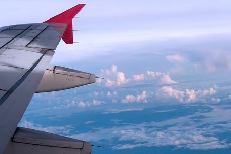 在飞机上的鸟图照片