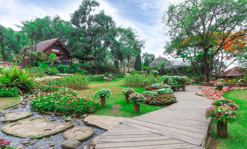 mae fah 銮花园的园林花卉