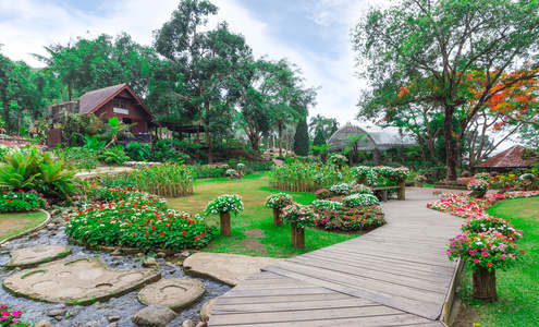 mae fah 銮花园的园林花卉