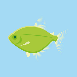 绿色的鱼，蓝色的背景上孤立