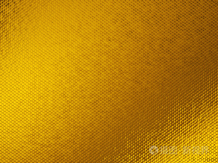 金色的鳞片背景