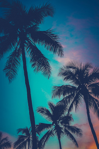 复古日落夏威夷棕榈树