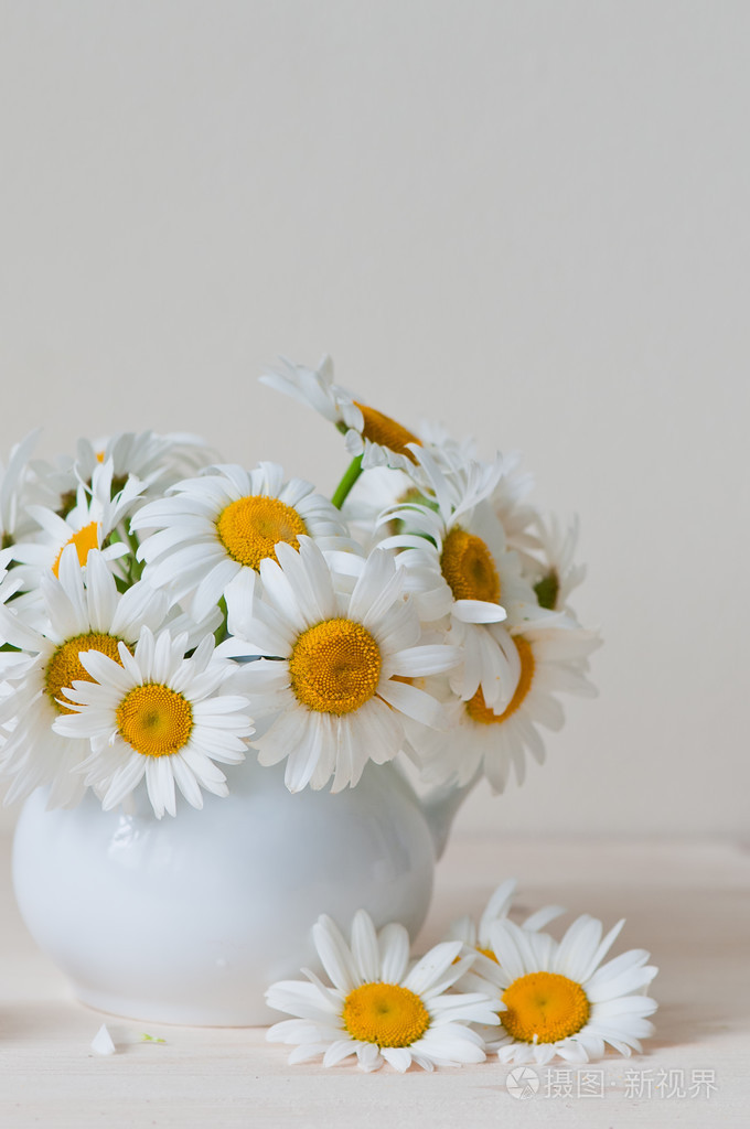 在木桌上花瓶里的新鲜花园洋甘菊花束