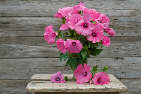 新鲜花园的粉红色矮牵牛的花束在木制的桌子上的花瓶