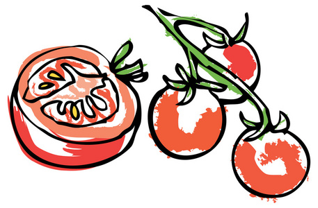 在葡萄藤上的西红柿