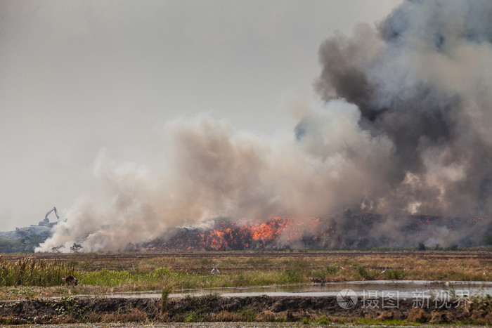 灼烧的垃圾回收堆的烟