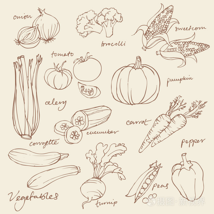 什锦的蔬菜插画-正版商用图片1g1sef-摄图新视界