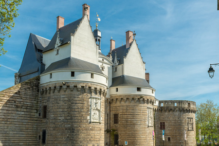 布列塔尼城堡，南特法国