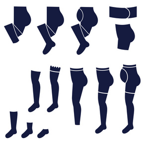 不同类型的妇女的袜子，紧身衣和长袜