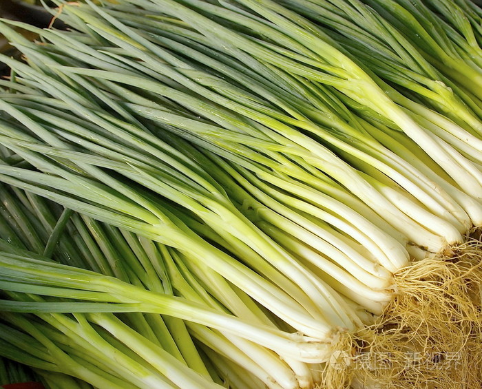 新鲜的葱蔬菜市场发售