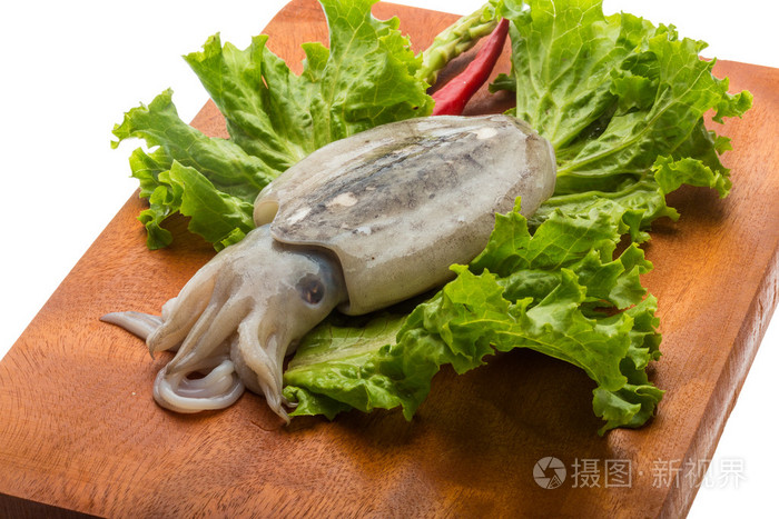 原料墨鱼照片-正版商用图片1g28cv-摄图新视界