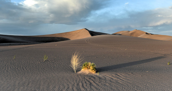 在日落时分沙漠沙丘沿着阿马戈萨