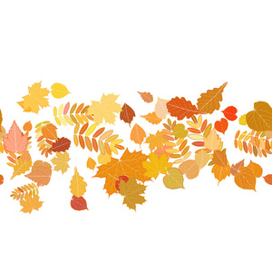 秋季背景与多彩的树叶