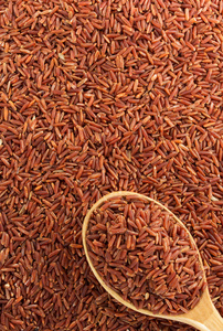 水稻籽粒