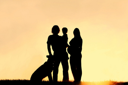 家庭与狗和怀孕的母亲在日落时的剪影