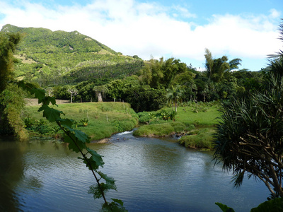 domaine de 星斗