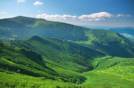 山风景