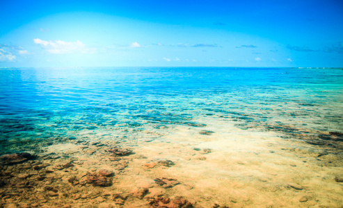 热带度假海滩。夏天背景