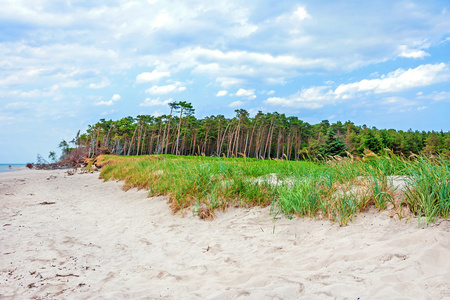 达尔斯半岛 Weststrand