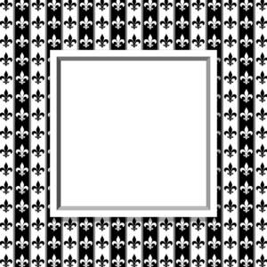 黑色和白色百合花图案纹理的织物与框架