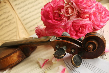 美丽的小提琴