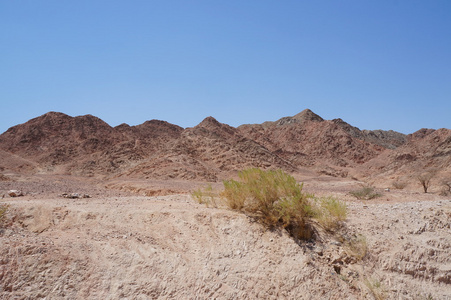 wadi shahamon 附近埃拉特