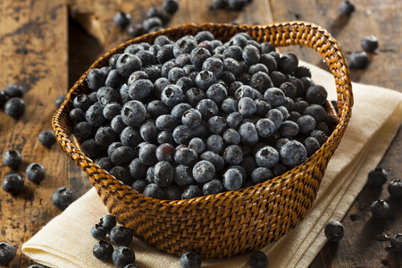 新鲜有机原料蓝莓