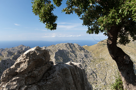 塞拉德 tramuntana山在马略卡岛，西班牙