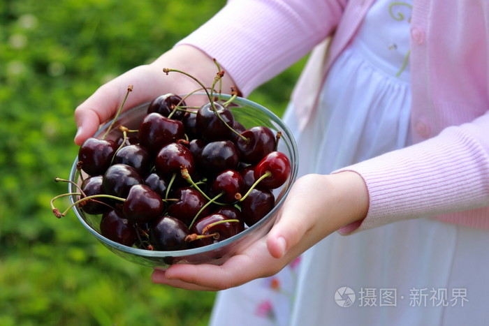 孩子手与成熟的樱桃