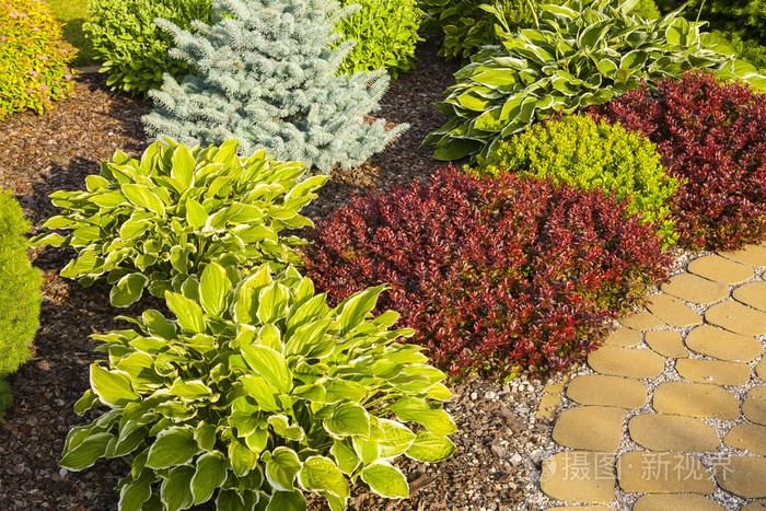 在公园的树丛里