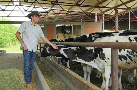 农夫和母牛在牛棚里