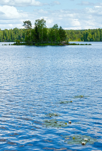 鲁塔贾维湖夏季景观芬兰。