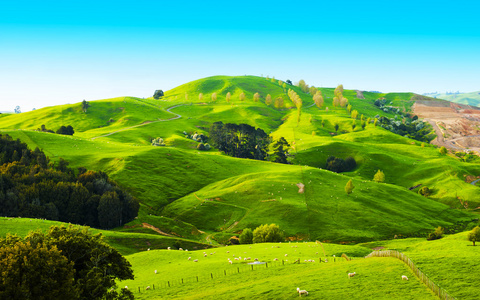 新西兰的山丘