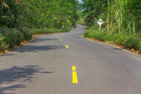 曲线的柏油路