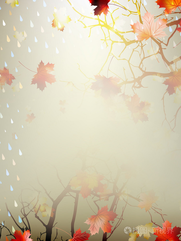 秋季背景与枫树的叶子.10 eps