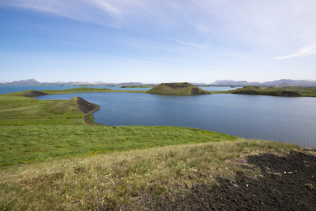 在 Skutustadir 周围米湖，冰岛的伪坑