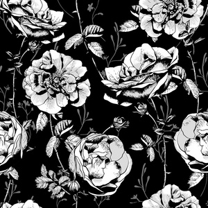 黑色和白色花卉无缝背景