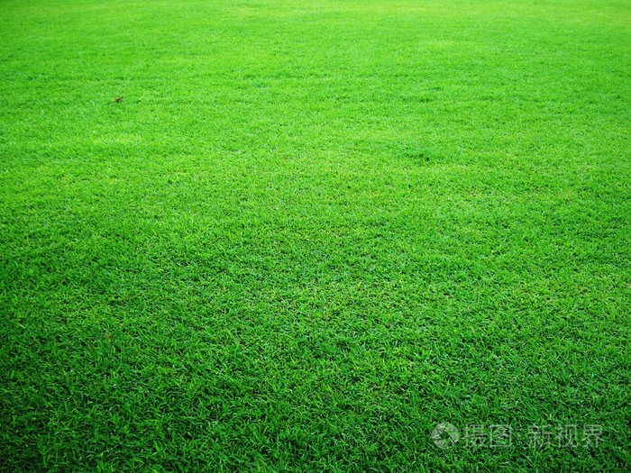 绿草背景照片 正版商用图片1g4ziu 摄图新视界 绿草背景照片 正版商用图片1g4ziu 摄图新视界