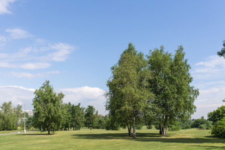 夏天风景