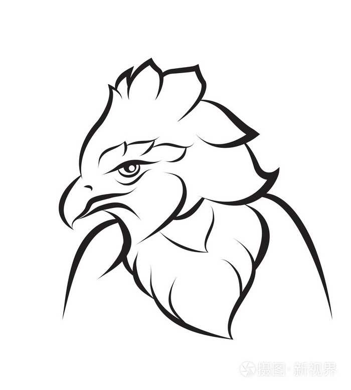 冠鹰的艺术线条