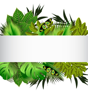 热带绿叶的插图