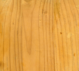 杉木木材纹理照片