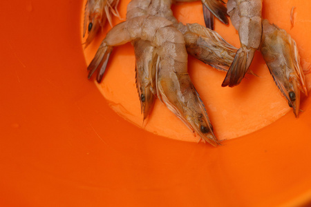 橙色虾图片