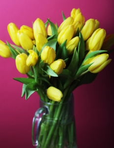 玻璃花瓶的郁金香花束图片