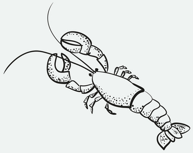 令人垂涎的大龙虾的剪影照片