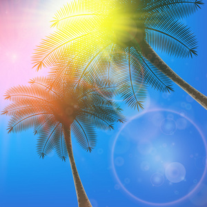 棕榈树和太阳在天空中